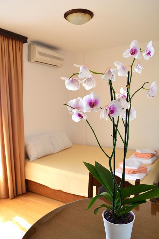 Apartment Matea Petrovac Екстериор снимка